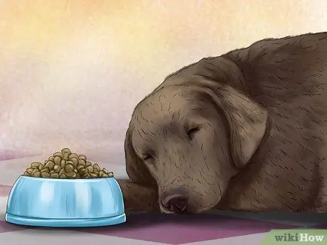 Диагностика кожных образований у собак Шаг 8