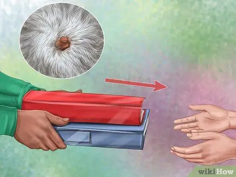 Диагностика кожных образований у собак Шаг 9