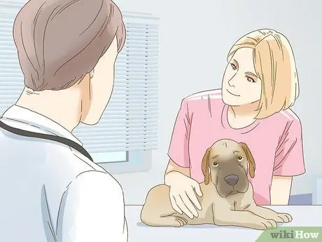 Лечить прыщи у собак, шаг 1