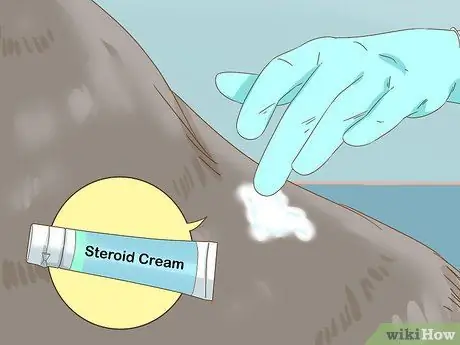 Лечить прыщи у собак, шаг 5