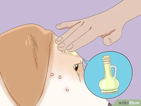 Лечить прыщи у собак, шаг 7