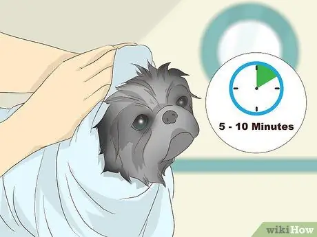 Приготовить овсяную ванну для собаки Шаг 10