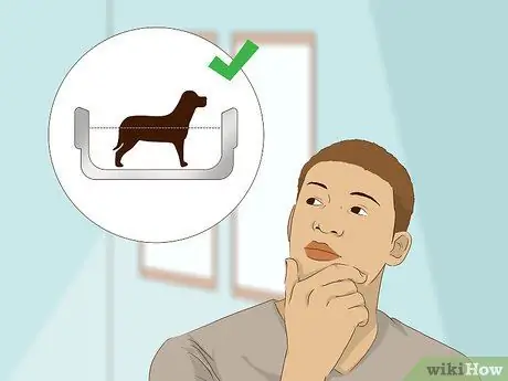 Приготовить овсяную ванну для собаки Шаг 3