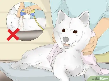 Приготовить овсяную ванну для собаки Шаг 6