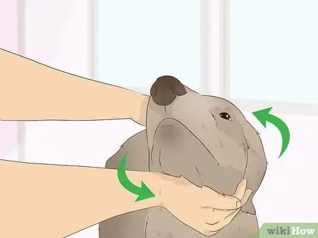 Приготовить овсяную ванну для собаки Шаг 9