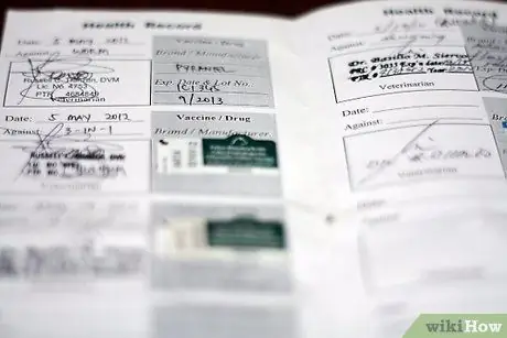 Устранение сухости кожи у собак Шаг 2