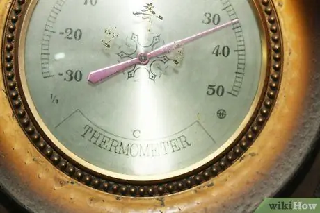 Устранение сухости кожи у собак Шаг 8