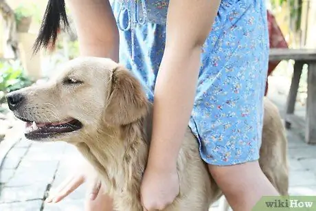 Устранение сухости кожи у собак Шаг 9