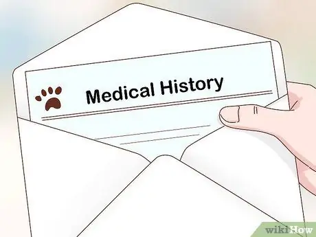 Лечить аллергический дерматит у собак Шаг 3