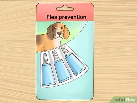 Лечить аллергический дерматит у собак Шаг 5