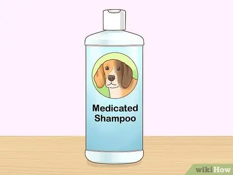 Лечить аллергический дерматит у собак Шаг 6