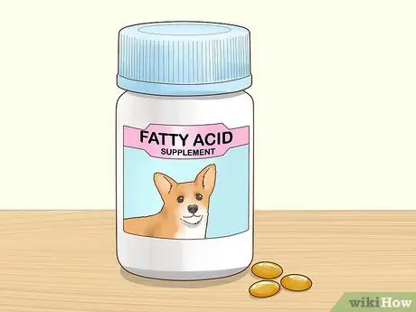 Лечить аллергический дерматит у собак Шаг 7