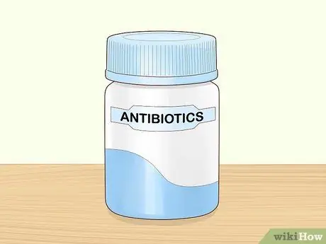 Лечить аллергический дерматит у собак Шаг 8