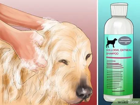 Помогите чешущейся собаке Шаг 10