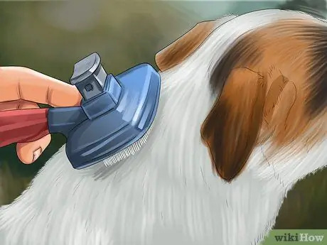 Помогите чешущейся собаке Шаг 13