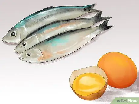 Помогите чешущей собаке Шаг 6