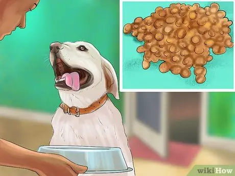 Помогите чешущейся собаке Шаг 7