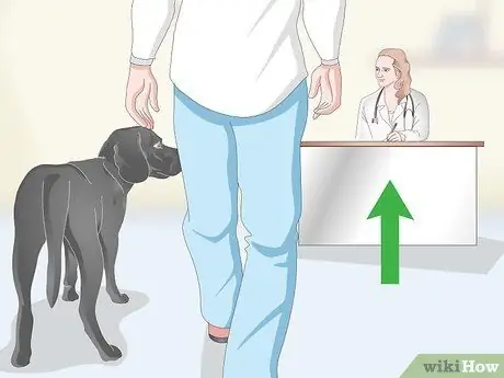 Избавьтесь от перхоти на вашей собаке Шаг 10