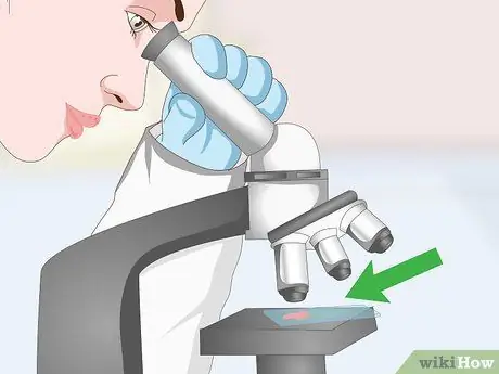 Избавьтесь от перхоти на вашей собаке Шаг 11