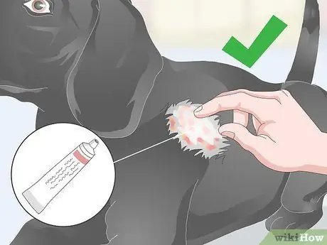 Избавьтесь от перхоти на вашей собаке Шаг 13