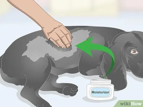 Избавьтесь от перхоти на вашей собаке Шаг 4