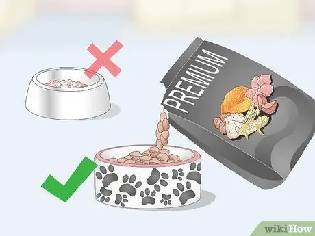 Избавьтесь от перхоти на вашей собаке Шаг 6