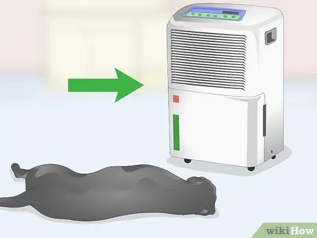 Избавьтесь от перхоти на вашей собаке Шаг 7