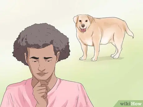 Диагностика ожирения у лабрадоров-ретриверов Шаг 1