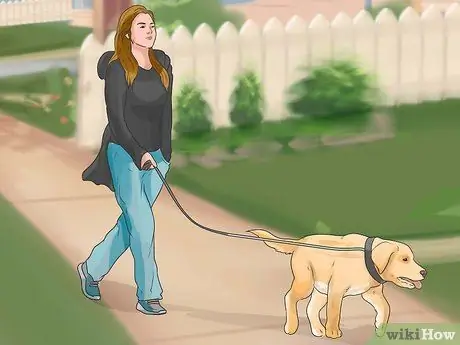 Диагностика ожирения у лабрадоров-ретриверов Шаг 10