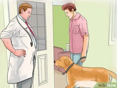 Диагностика ожирения у лабрадоров-ретриверов Шаг 4