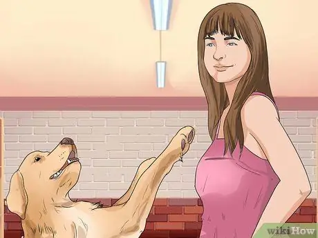 Диагностика ожирения у лабрадоров-ретриверов Шаг 9