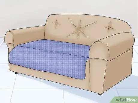 Контроль линьки (собаки) Шаг 12