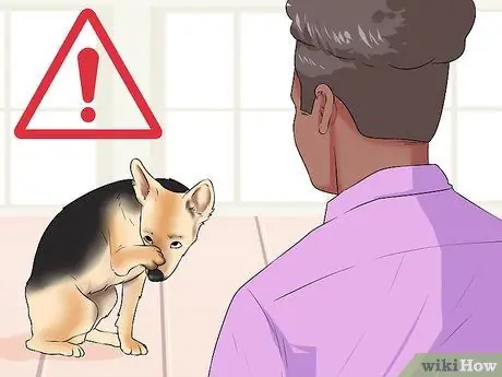 Контроль линьки (собаки) Шаг 15