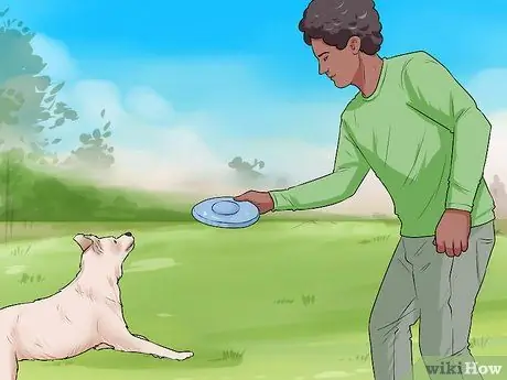 Контроль линьки (собаки), шаг 3