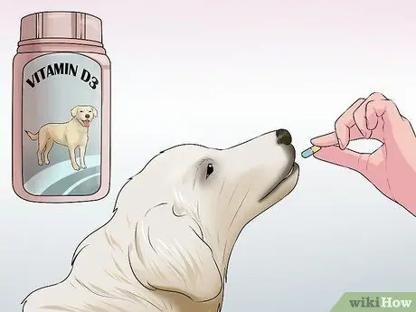 Контроль линьки (собаки) Шаг 9