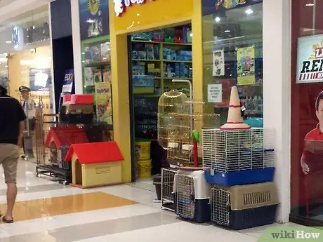 Выращивание лабрадора-ретривера Шаг 2