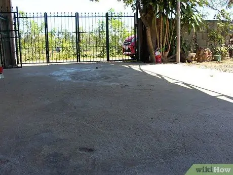 Выращивание лабрадора-ретривера Шаг 3