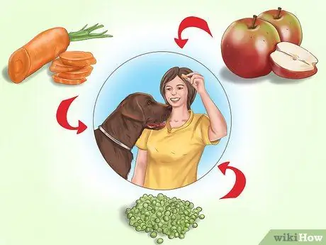 Держите собаку или кошку правильным весом Шаг 10