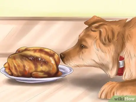 Держите собаку или кошку правильным весом Шаг 12