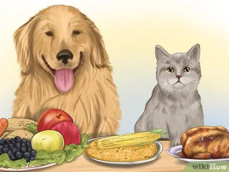 Держите вашу собаку или кошку в правильном весе Шаг 14