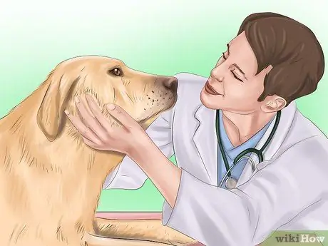 Держите вашу собаку или кошку в правильном весе Шаг 15