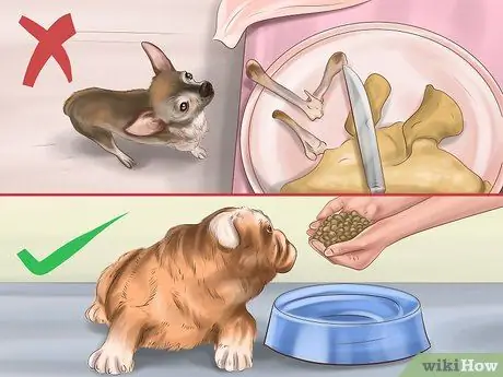 Держите собаку или кошку правильным весом Шаг 8