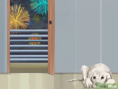 Распознавать страх в собаках Шаг 11