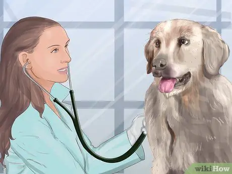 Распознавать страх в собаках Шаг 12