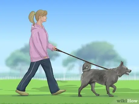 Распознавать страх в собаках Шаг 14