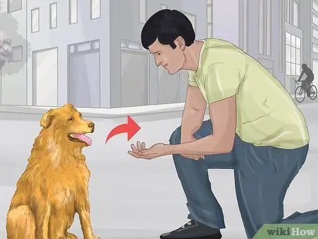 Распознавать страх в собаках Шаг 15