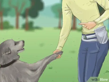 Распознавать страх в собаках Шаг 16