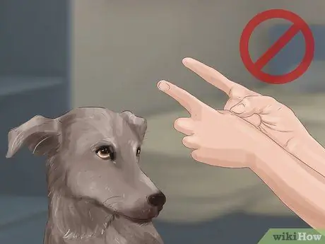 Распознавать страх в собаках Шаг 17