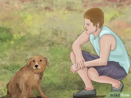 Распознавать страх в собаках Шаг 2