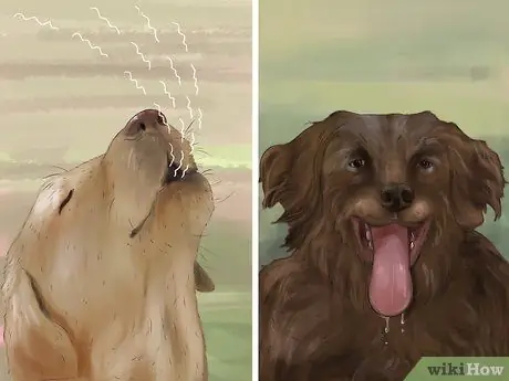 Распознавать страх в собаках Шаг 4